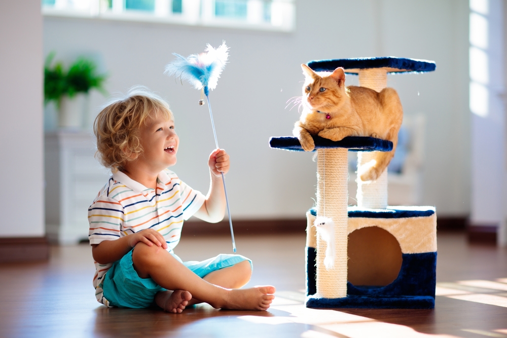 child playing with cat