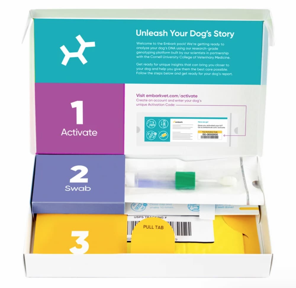 Embark Dog DNA Test Tutorial - How to Swab Your Dog [2020] 