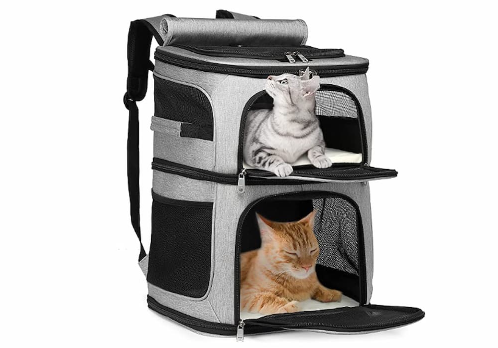 https://www.vetstreet.com/wp-content/uploads/2023/05/GJEASE-Double-Compartment-Pet-Carrier-Backpack.jpg