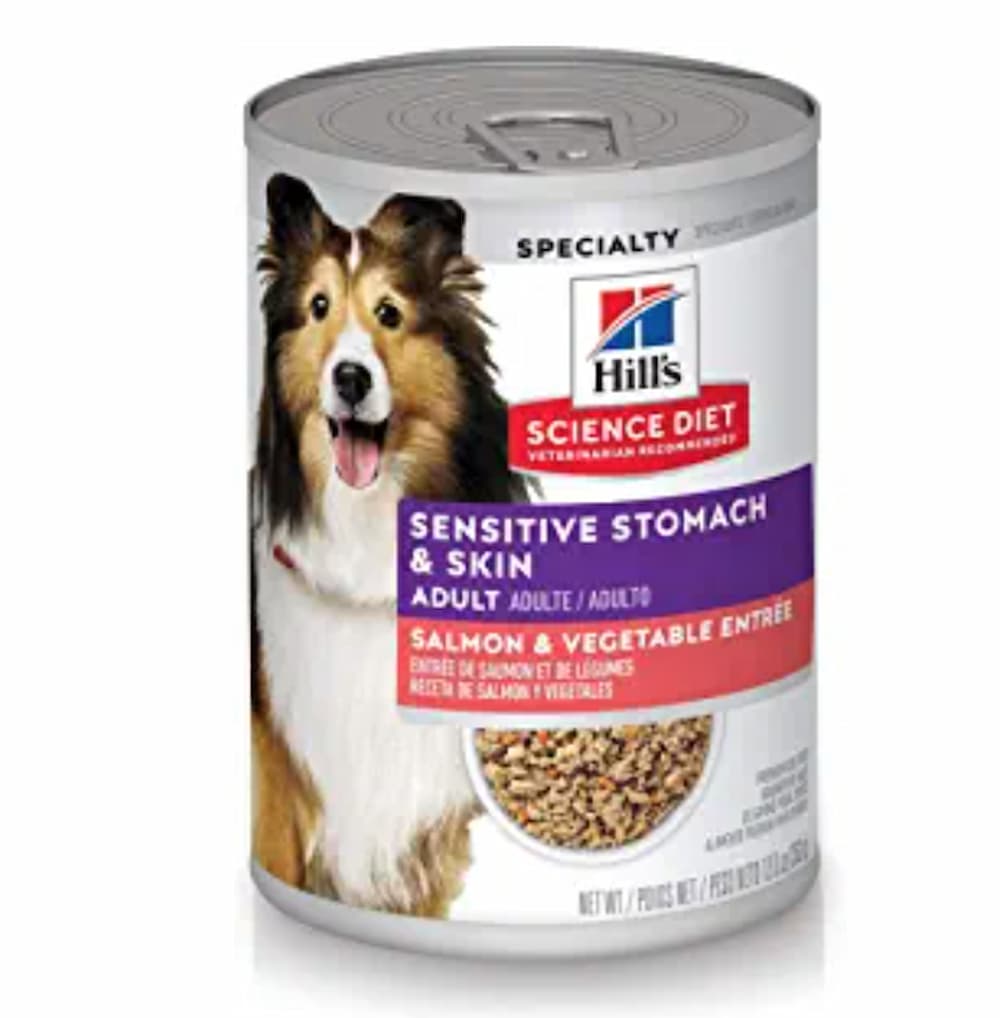 is salmon dog food good for dogs with allergies