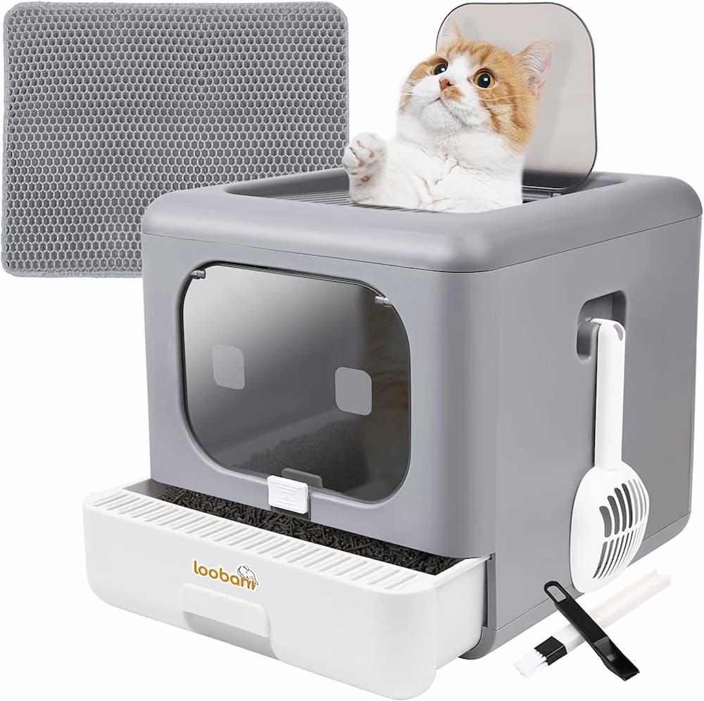 https://www.vetstreet.com/wp-content/uploads/2023/05/LOOBANI-Foldable-Cat-Litter-Box-with-Lid.jpg
