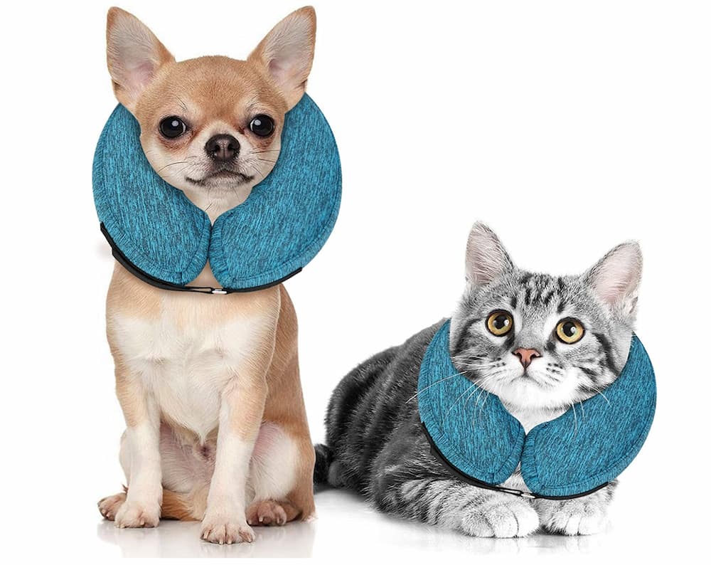 3 Pieces Cat Recovery Suit Kitten Recovery Suit E-Collar Alternative for  Cats an