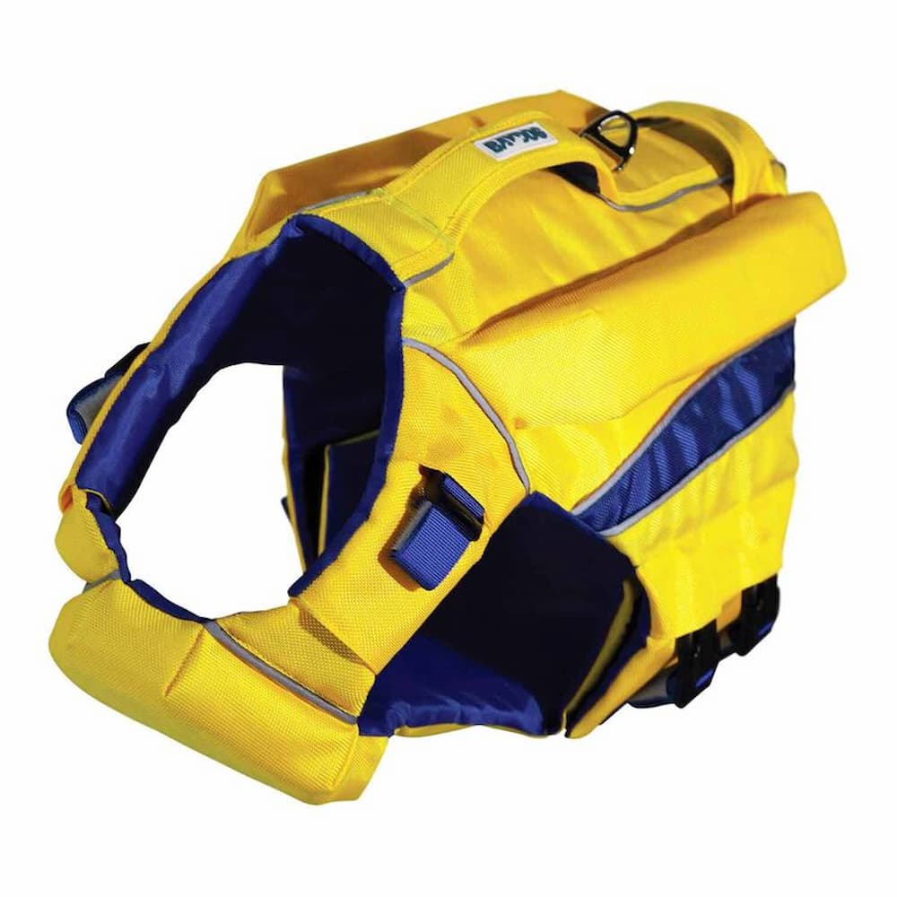 Best Dog Life Jackets of 2023, With Advice From Experts