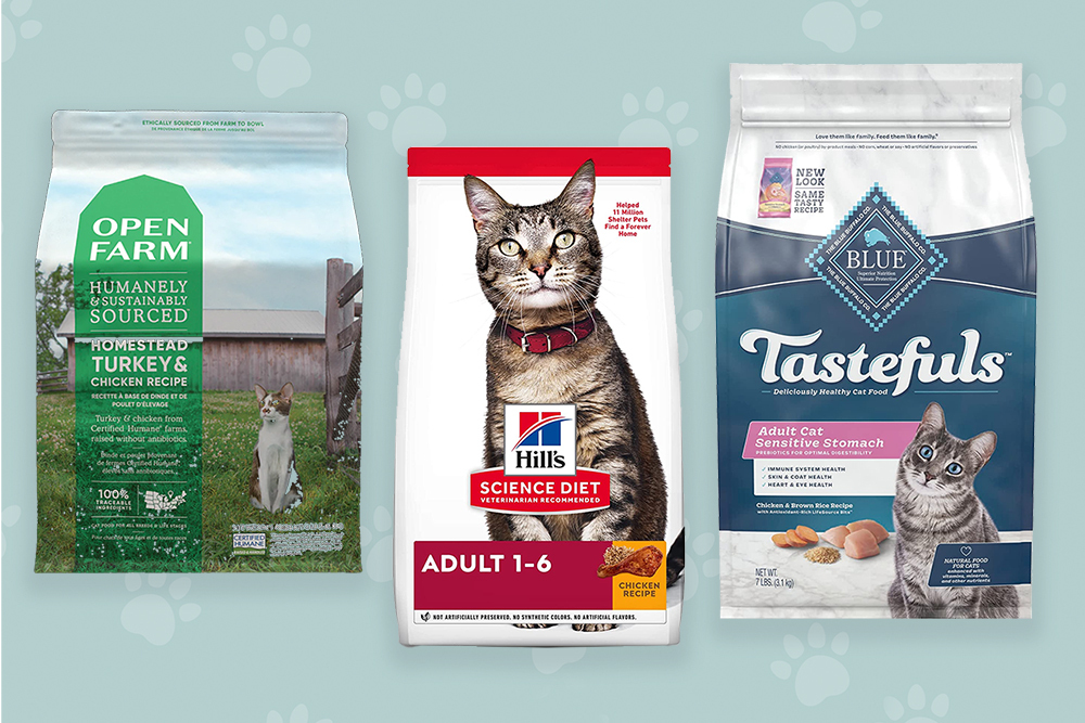 Get Your Money's Worth: Buy Wet Cat Food Online