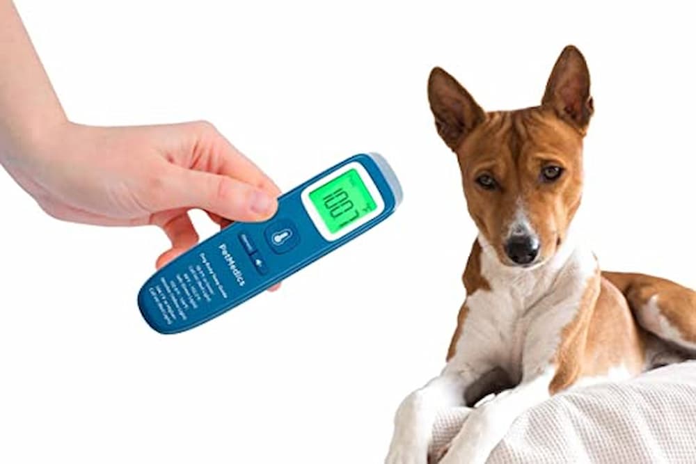 Vet Worthy 10001-9 Pet Digital Thermometer