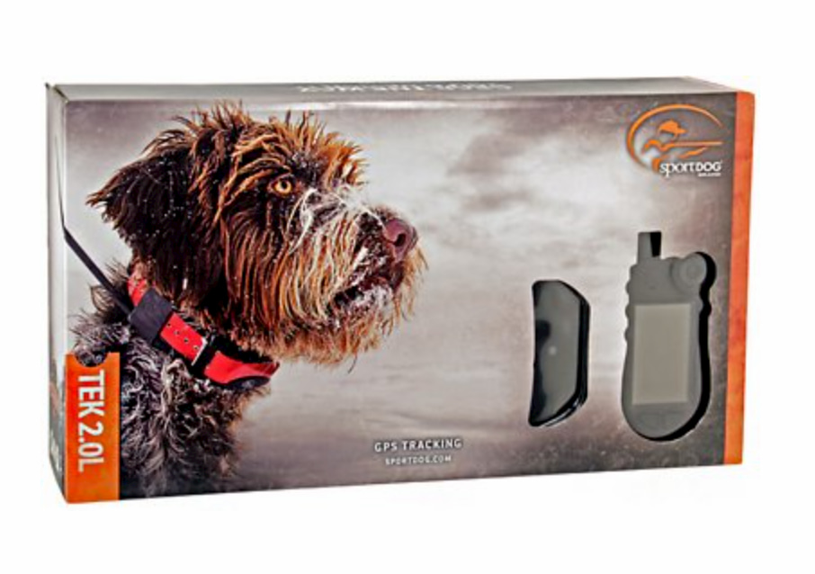 19 Luxury Dog Accessories for Posh Pups - Vetstreet