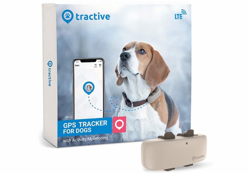 GPS Tracker vs Samsung SmartTag: What's best for pets? - Tractive