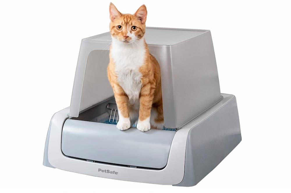  Kitty's Wonderbox Disposable Litter Box, 2-in-1 Functionality,  Disposable Cat Litter Box And Liner , 3 count : Litter Boxes : Pet Supplies