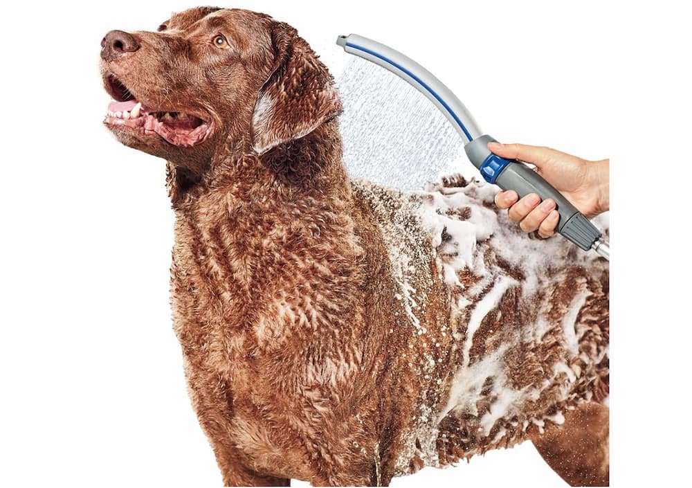 Pet Shower Sprayer Slip on Hose Portable Shower Head Dog Sprayer for Tub  Faucet