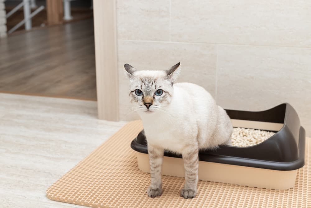 GORILLA GRIP Original Premium Durable Cat Litter Mat, Gray 