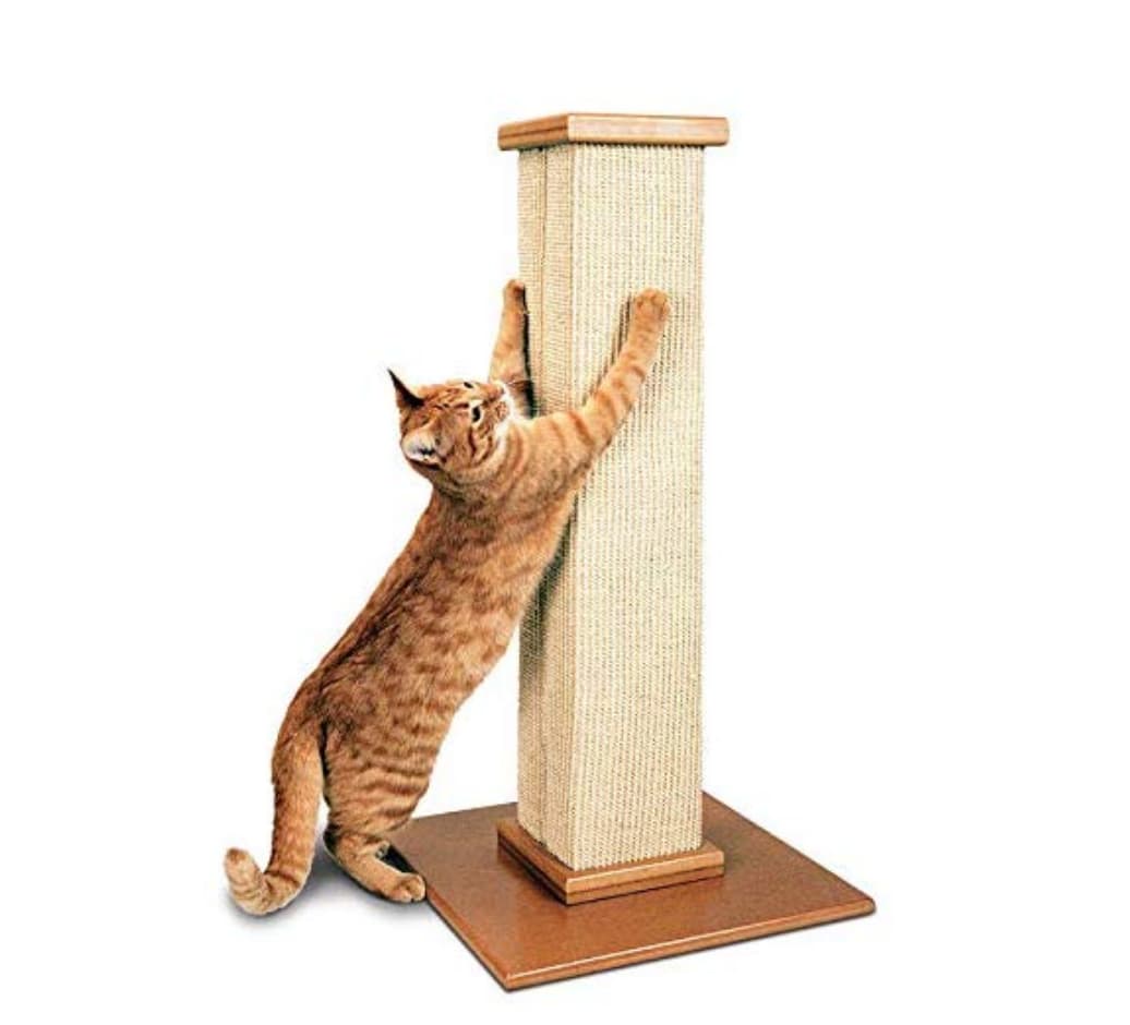 Cat scratching post