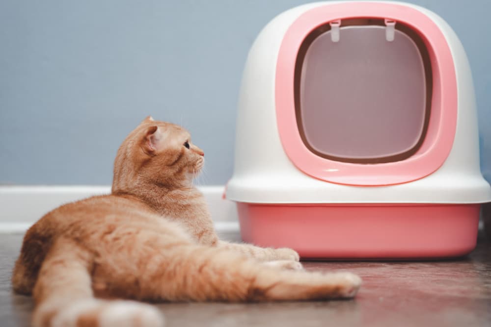 DINZI LVJ Litter Box Enclosure, Flip-Top Enclosed Litter Box, Hidden Cat  Washroom with Good Ventilation, Entrance Can Be on Left or Right, Cat House