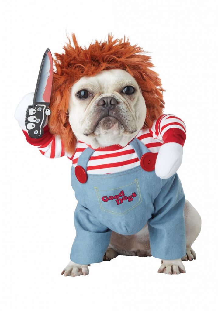 26 Scary Cute Dog and Owner Halloween Costume Ideas - xoxoBella