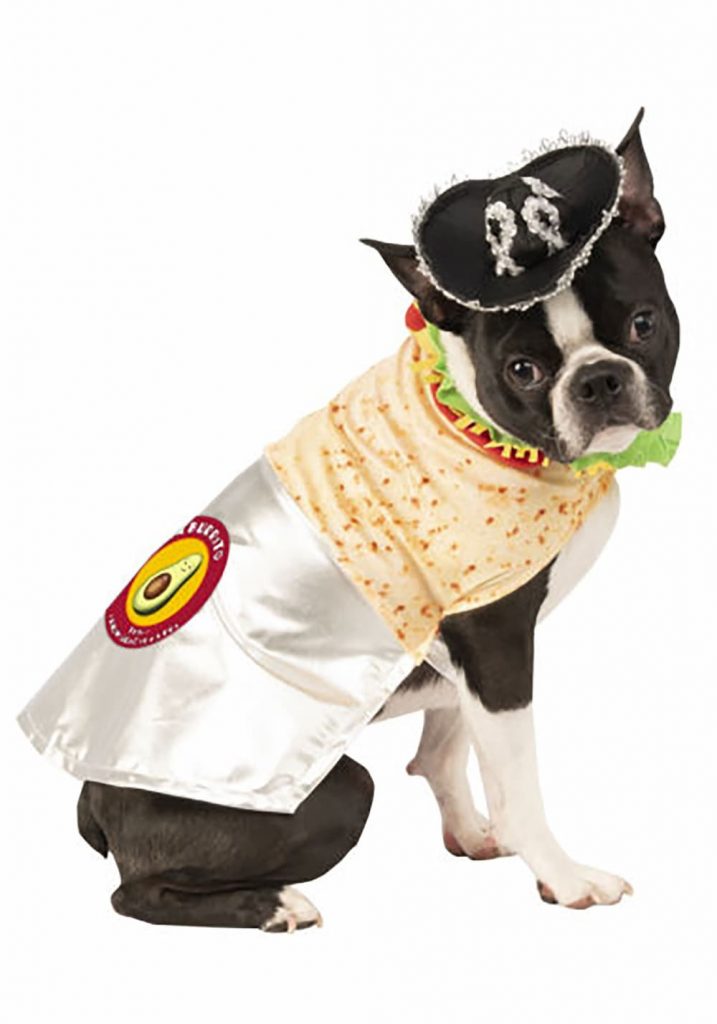 34 Best Dog Halloween Costumes 2023