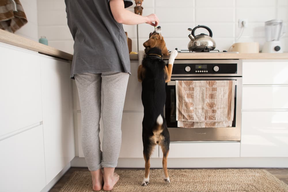 The Best Kitchen Trash Cans of 2023 - Reviews by Your Best Digs