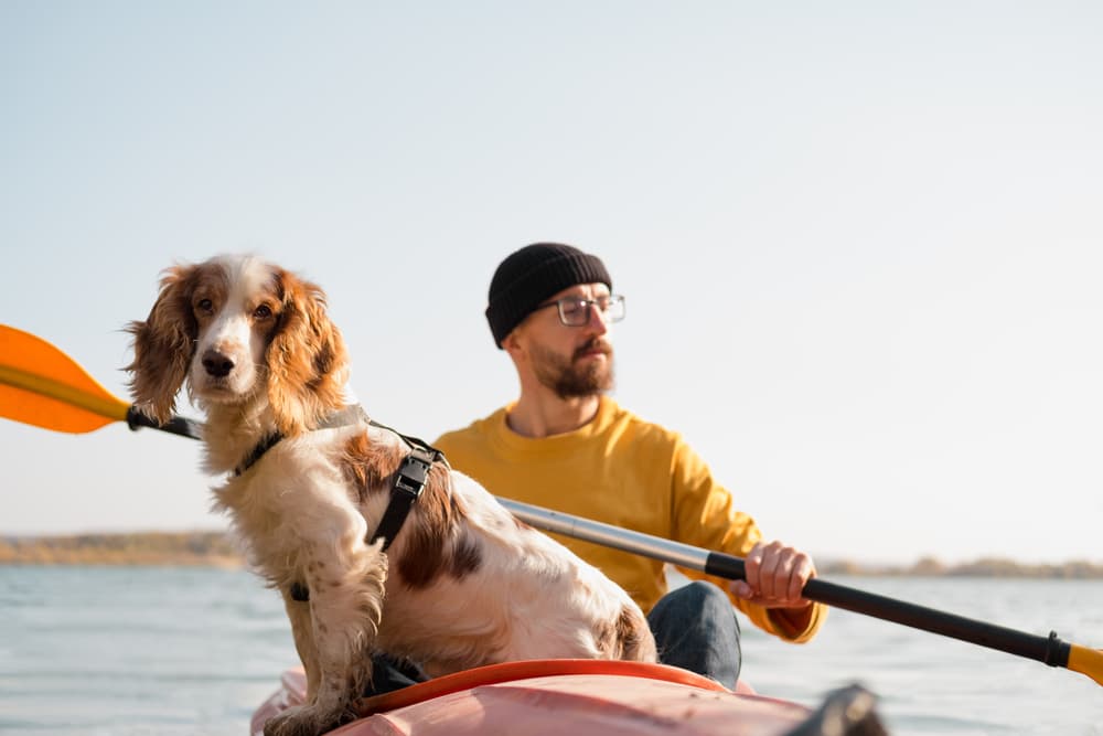 How To Kayak With Your Dog This Season