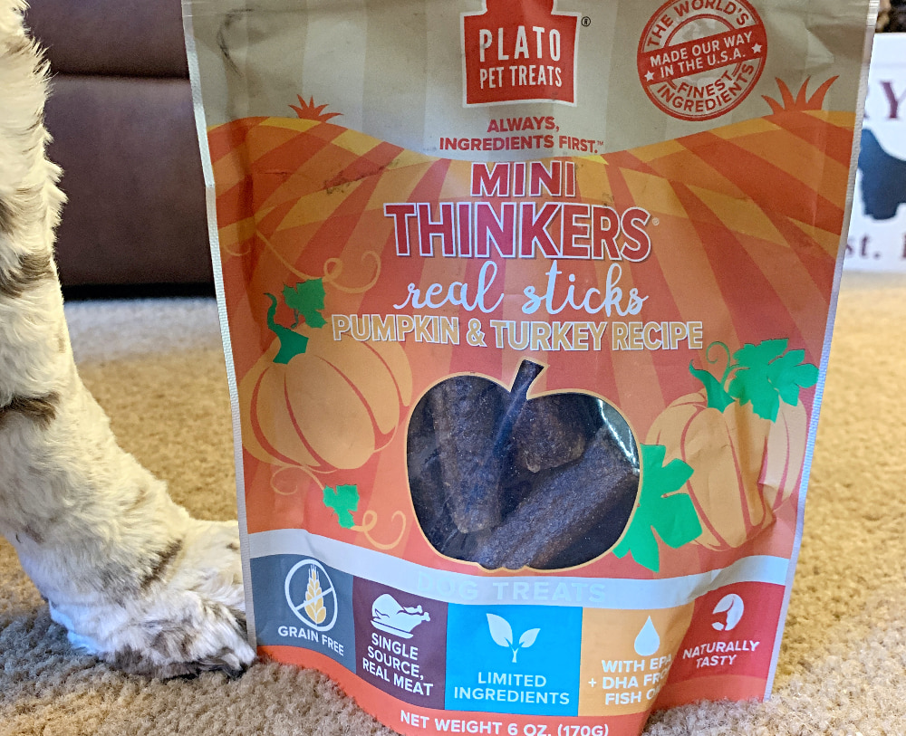 Best pumpkin dog treats Plato Pets