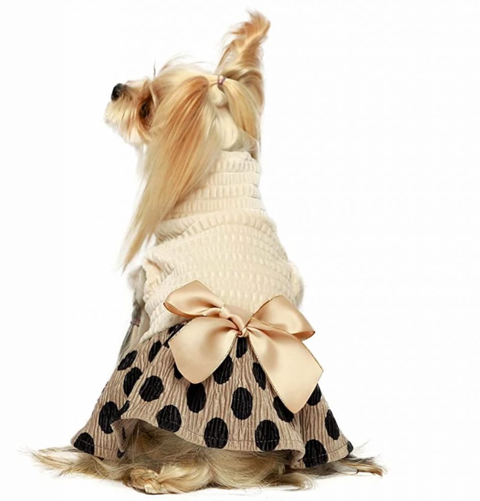 Designer Boutique Show Bow, Dog Accessories