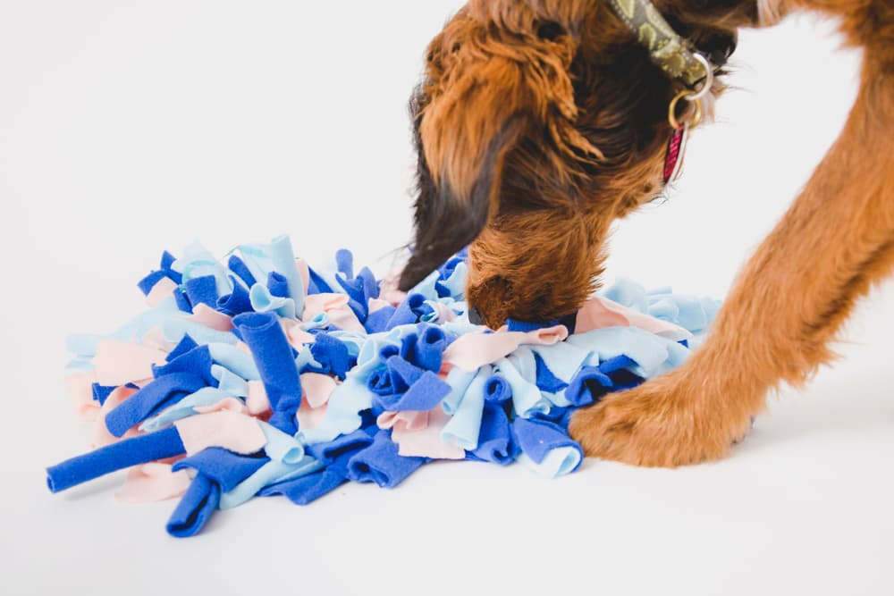 Snuffle Mat for Dogs - Dog Enrichment Toys, 16.2'' X 21''Dog