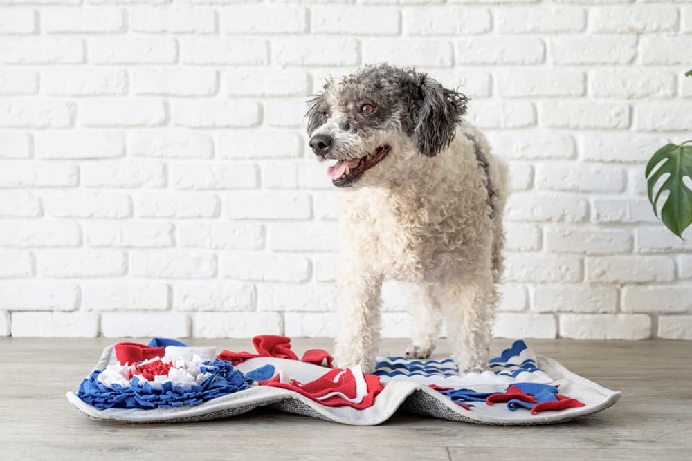 Under $10 DIY Snuffle Mat for Dogs: Easy Canine Enrichment - Wear