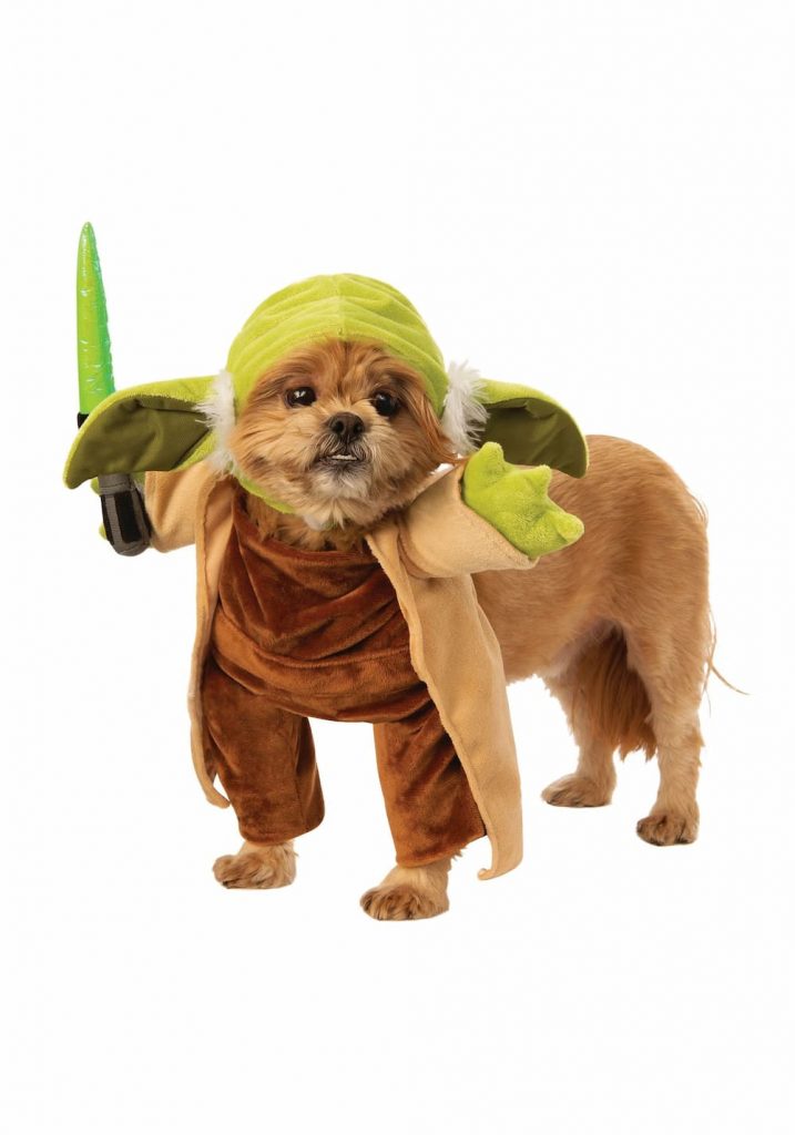 20 Halloween Costumes for Dogs & Cats #Halloween #Pets - Mom Does Reviews