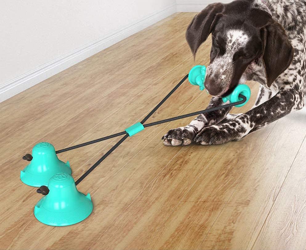 https://www.vetstreet.com/wp-content/uploads/2023/05/suction-cup-dog-toys-considerations.jpg