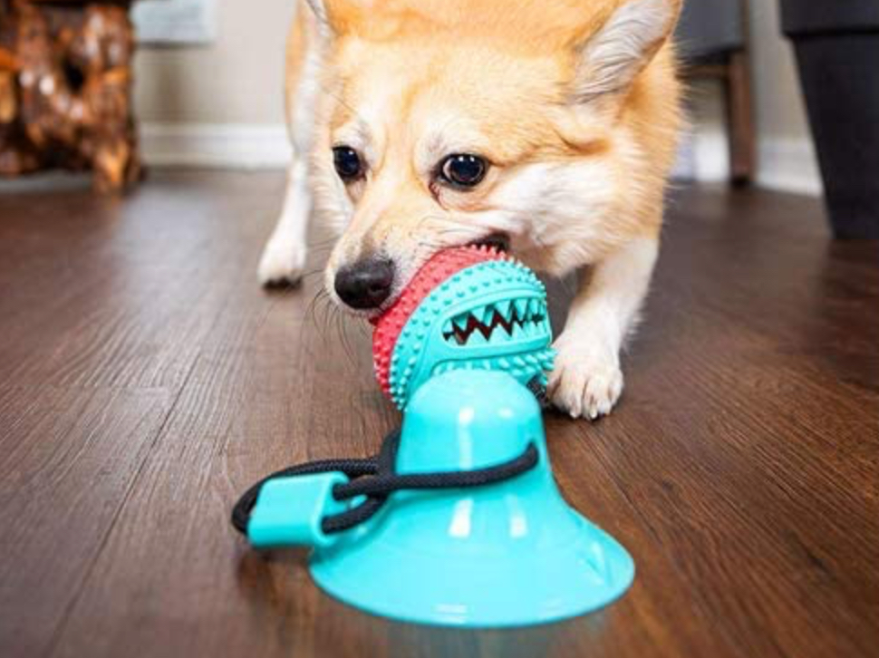 Tug of War Dog Toy, Suction Cup Dog Toy, Dog Pull Toy with Super
