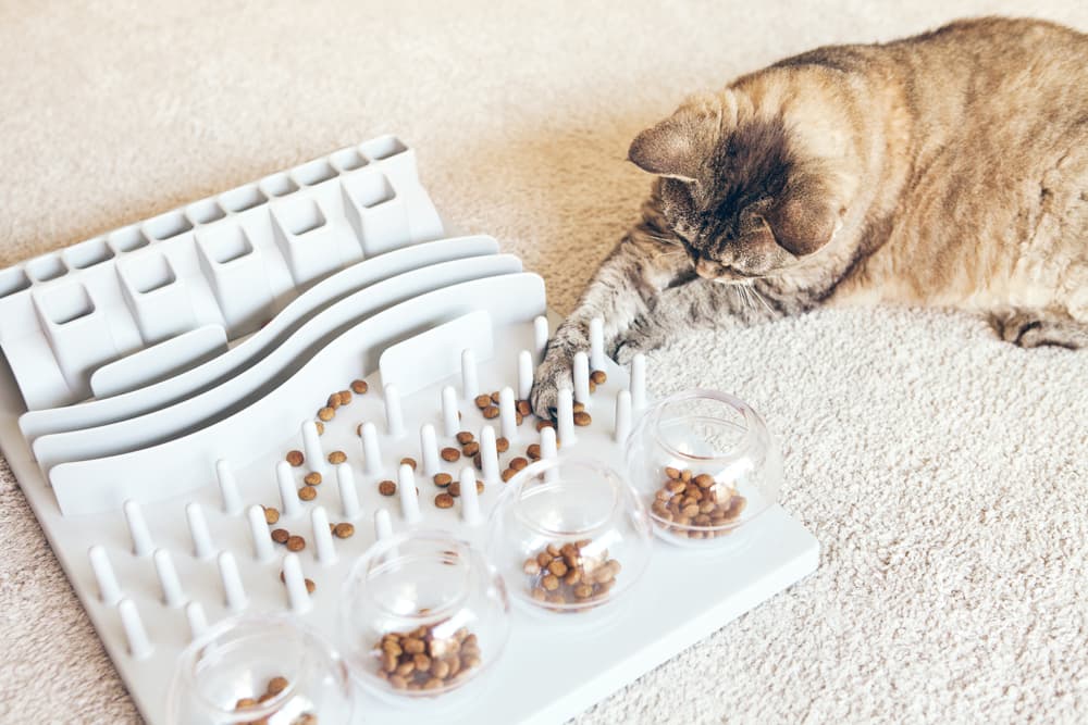Order Cat Food Dispenser: Cat Puzzle Feeder & Cat Feeder Toy Wheel