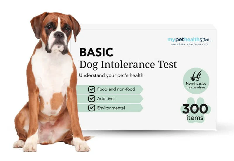 My Pet Health Store Basic Dog Intolerance Test