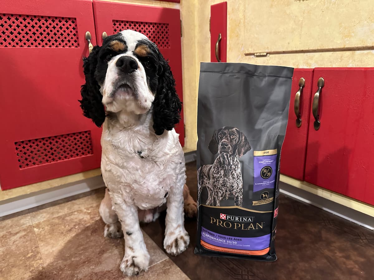 Purina Pro Plan Sport Dog Food Review
