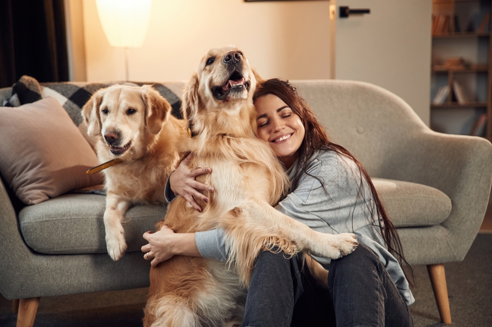 Your adult dog with a woman on couch