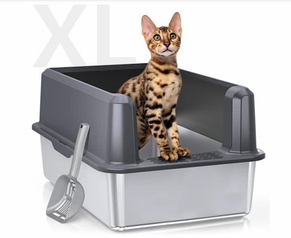 High-Sided Litter Boxes for a Cleaner Home in 2024 - Vetstreet | Vetstreet