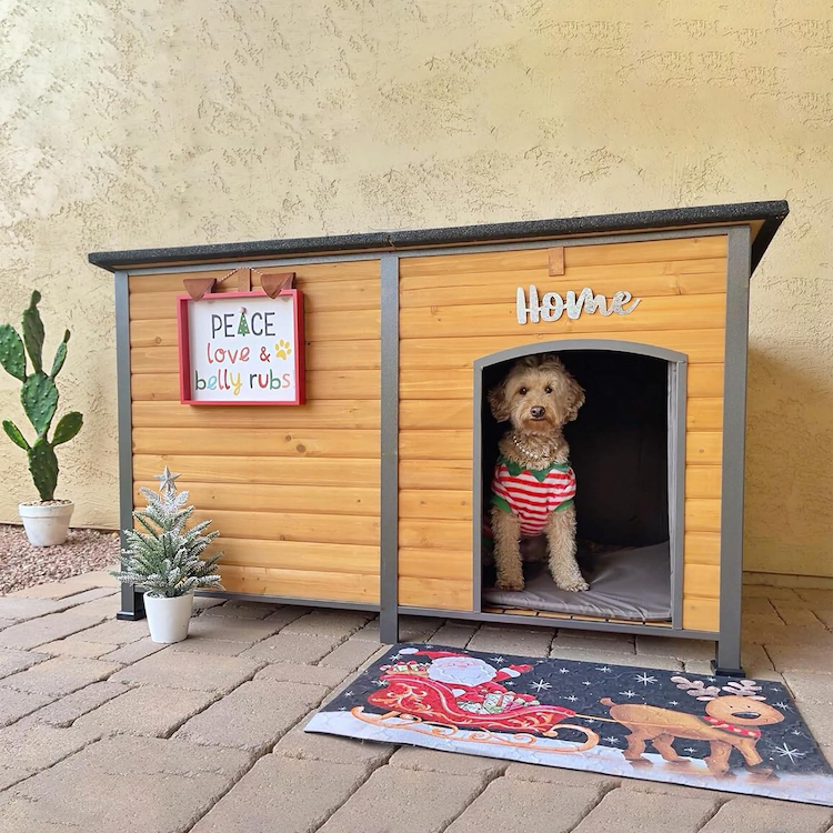 Aivituvun Dog House