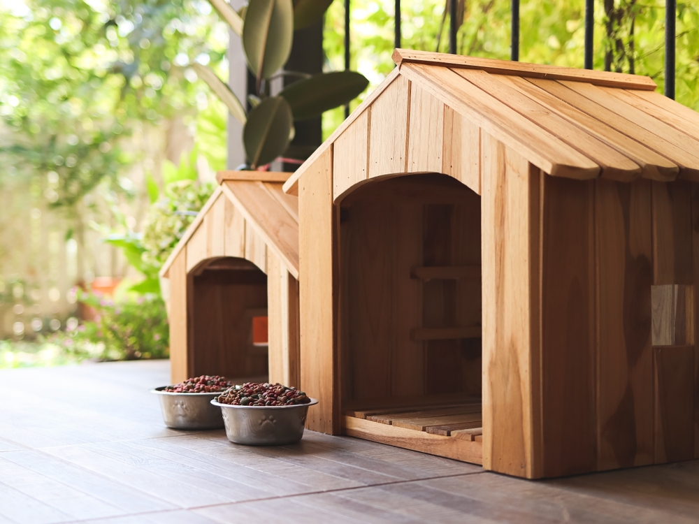 Top 10 Best Dog Houses for Comfort and Durability in 2024