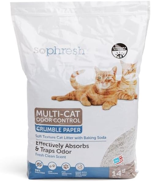 6 Best Paper Cat Litter Selections Of 2025 Vetstreet Vetstreet