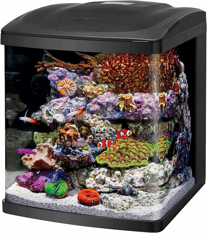 Coralife LED BioCube Aquarium Fish Tank Kit