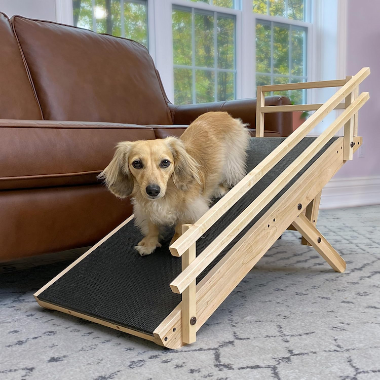 DoggoRamps Dog Ramp for Couch with Safety Rails