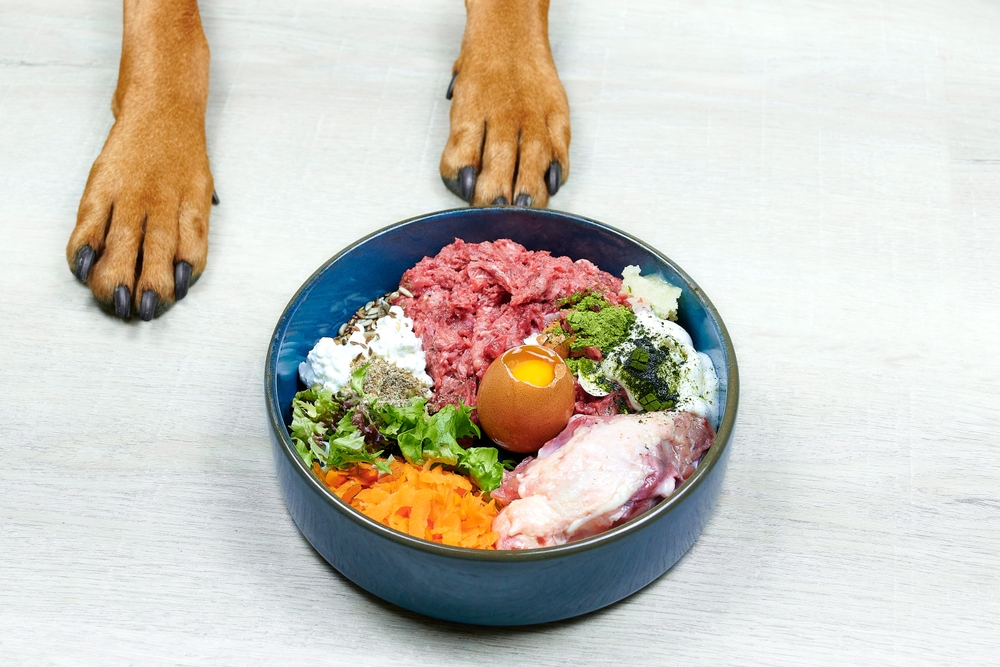 raw food diet for dog