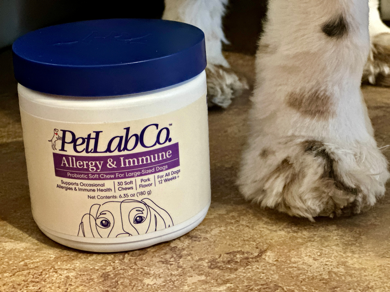 Review: Our Honest Experience Testing PetLab Co.’s Products for Dogs