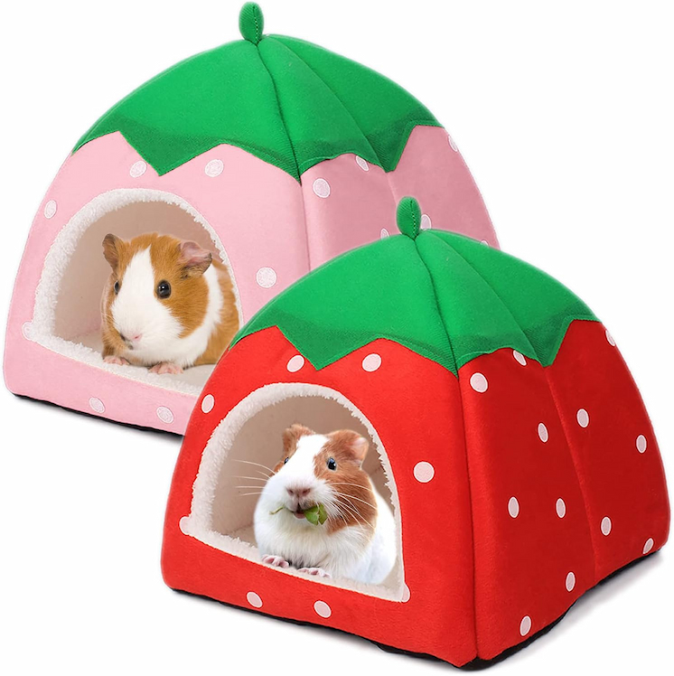 Tierecare Guinea Pig 2-Pack Hideout